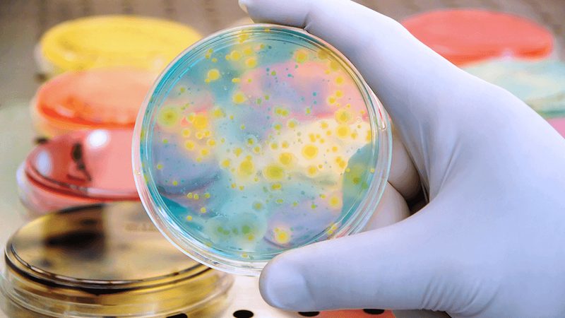 新生儿遗传病基因检测：守护生命起跑线的关键技术**