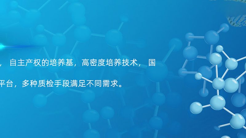 CDMO定制研发：揭秘技术转移流程中的关键步骤