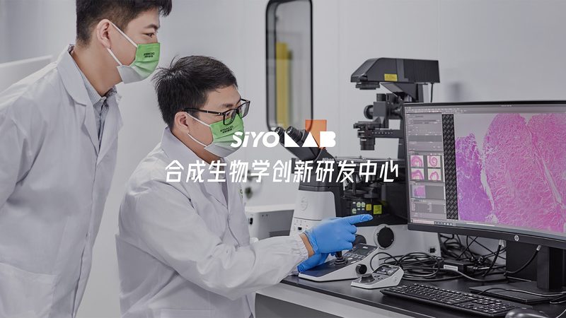 酶制剂储存温度监控：守护生物活性，确保科研品质**