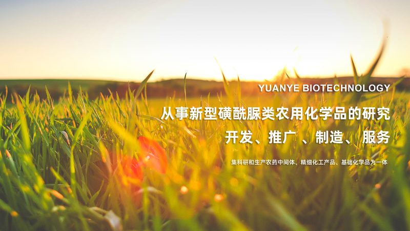 细胞培养基：成都厂家如何选择与沟通**