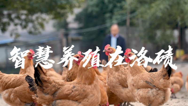 基因检测实验室CNAS认可流程：关键步骤与注意事项