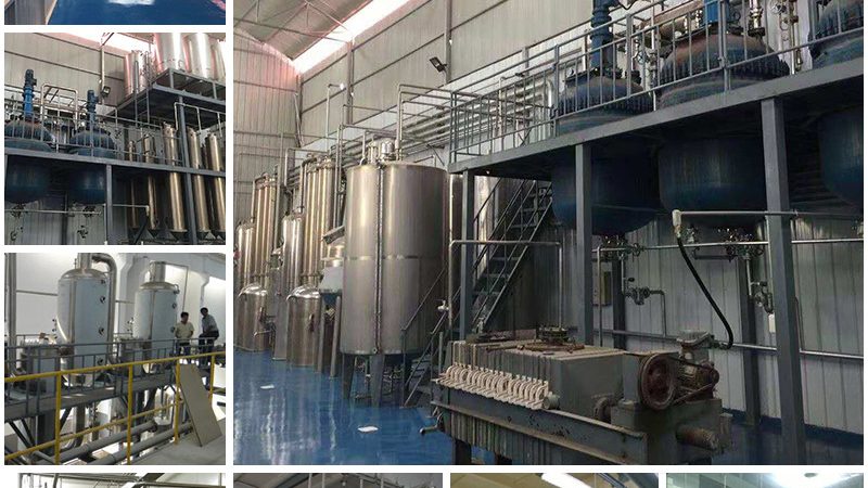 DNA连接酶热失活方法的原理与操作要点