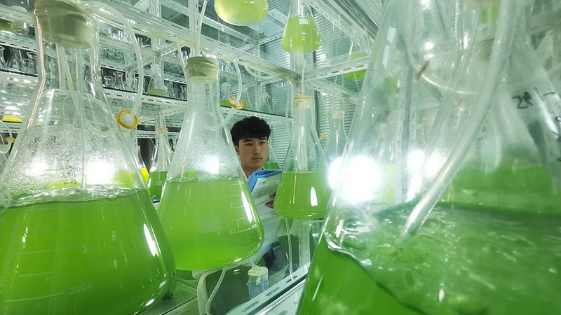 生物制品GMP认证：流程解析与关键要点**